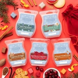 Scents of the Season with gift bag! BNWT🎄